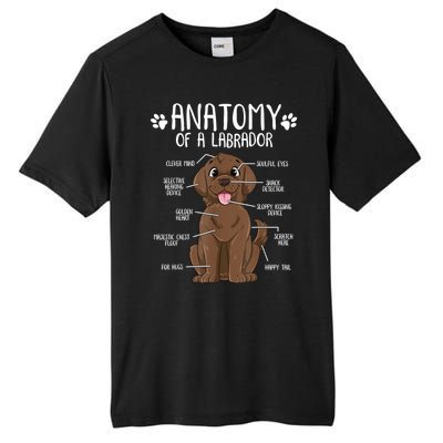 Funny Anatomy Labrador Retriever Chocolate Lab Dog Owner Tall Fusion ChromaSoft Performance T-Shirt