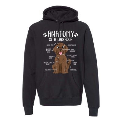 Funny Anatomy Labrador Retriever Chocolate Lab Dog Owner Premium Hoodie