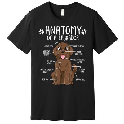 Funny Anatomy Labrador Retriever Chocolate Lab Dog Owner Premium T-Shirt