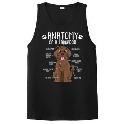 Funny Anatomy Labrador Retriever Chocolate Lab Dog Owner PosiCharge Competitor Tank