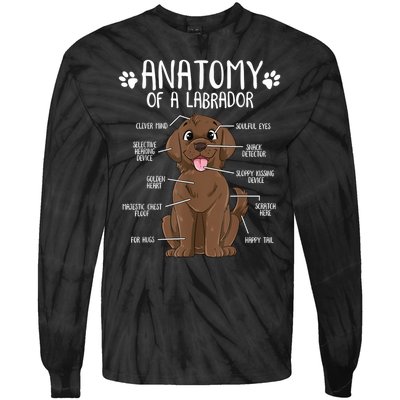 Funny Anatomy Labrador Retriever Chocolate Lab Dog Owner Tie-Dye Long Sleeve Shirt