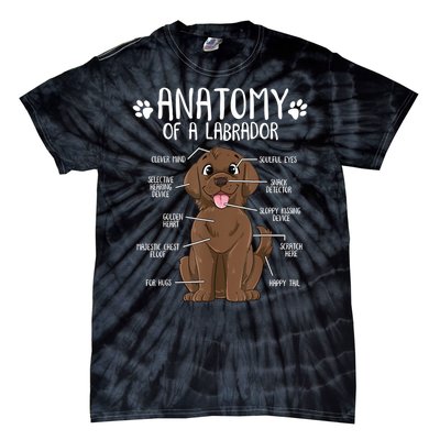 Funny Anatomy Labrador Retriever Chocolate Lab Dog Owner Tie-Dye T-Shirt