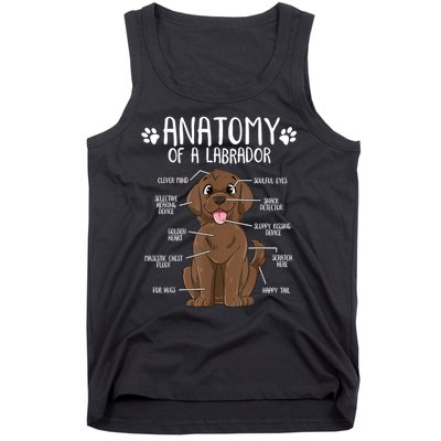 Funny Anatomy Labrador Retriever Chocolate Lab Dog Owner Tank Top