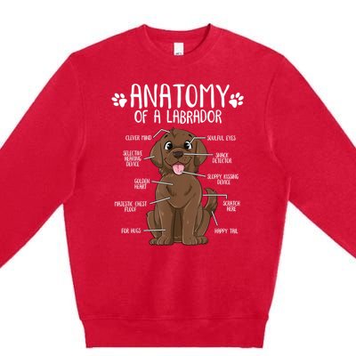 Funny Anatomy Labrador Retriever Chocolate Lab Dog Owner Premium Crewneck Sweatshirt