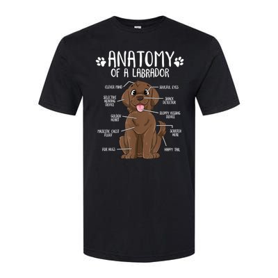 Funny Anatomy Labrador Retriever Chocolate Lab Dog Owner Softstyle CVC T-Shirt