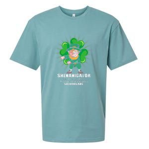 Flossing Shenanigator Definition Saint Patricks Day Men Boys  Sueded Cloud Jersey T-Shirt