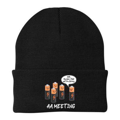 Funny AA Meeting AA Batteries Beanie