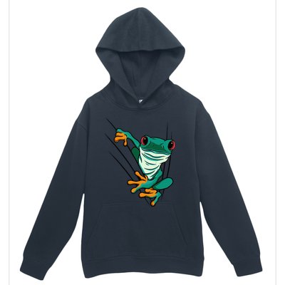 Frog Animal Motif Animal Print Frog Urban Pullover Hoodie