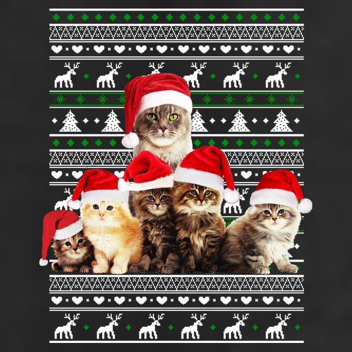 Family Of Kittens Ugly Christmas Sweater 7 Panel Mesh Trucker Snapback Hat