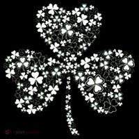 Family Of Shamrocks Cloverleaf Tall T-Shirt