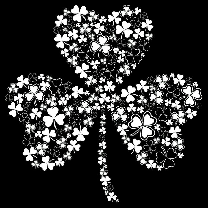 Family Of Shamrocks Cloverleaf Tall Sweatshirt