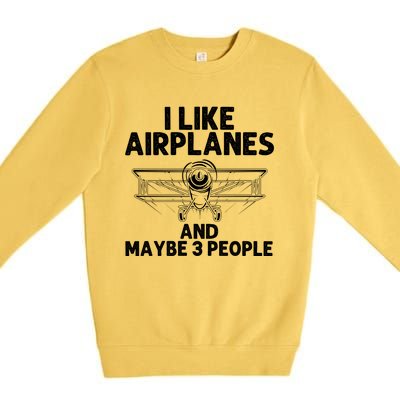 Funny Airplane Novelty Plane Aviation Pilot Gift Premium Crewneck Sweatshirt