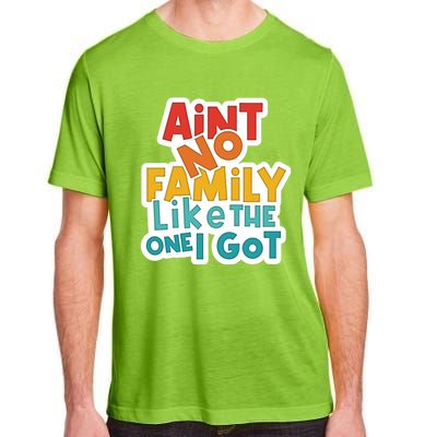 Funny Aint No Family Like The One I Got Adult ChromaSoft Performance T-Shirt