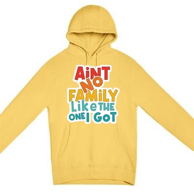 Funny Aint No Family Like The One I Got Premium Pullover Hoodie