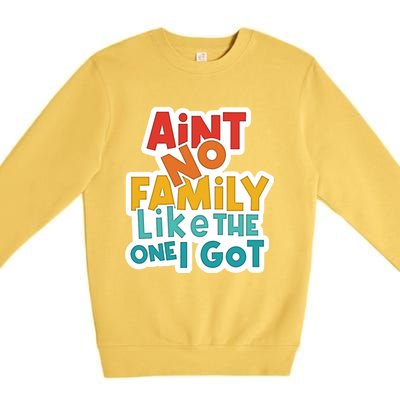 Funny Aint No Family Like The One I Got Premium Crewneck Sweatshirt