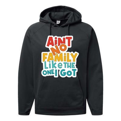 Funny Aint No Family Like The One I Got Performance Fleece Hoodie