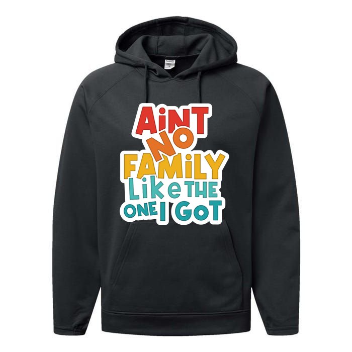 Funny Aint No Family Like The One I Got Performance Fleece Hoodie