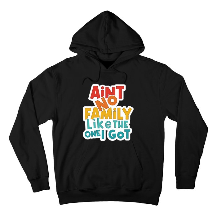 Funny Aint No Family Like The One I Got Hoodie