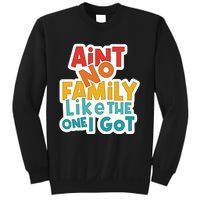 Funny Aint No Family Like The One I Got Sweatshirt