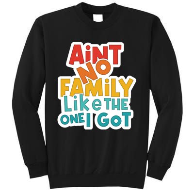 Funny Aint No Family Like The One I Got Sweatshirt