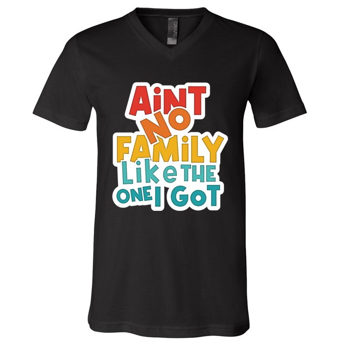 Funny Aint No Family Like The One I Got V-Neck T-Shirt