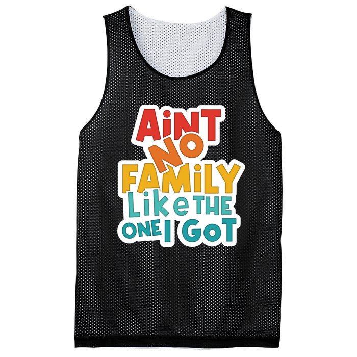 Funny Aint No Family Like The One I Got Mesh Reversible Basketball Jersey Tank