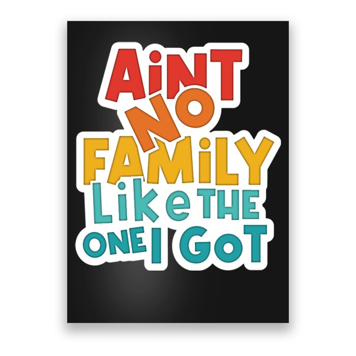 Funny Aint No Family Like The One I Got Poster