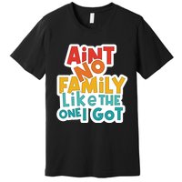 Funny Aint No Family Like The One I Got Premium T-Shirt