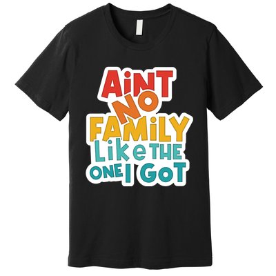 Funny Aint No Family Like The One I Got Premium T-Shirt