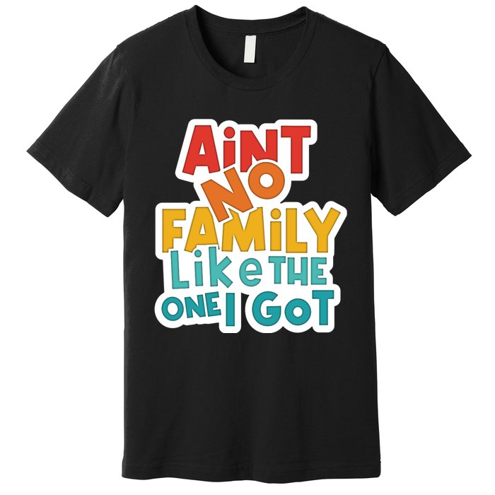 Funny Aint No Family Like The One I Got Premium T-Shirt