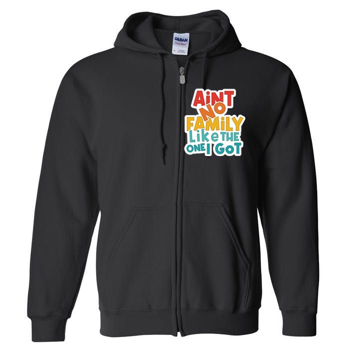 Funny Aint No Family Like The One I Got Full Zip Hoodie