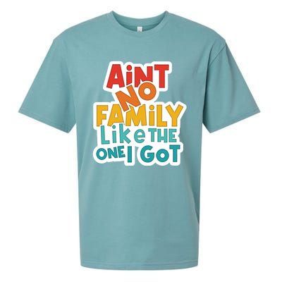 Funny Aint No Family Like The One I Got Sueded Cloud Jersey T-Shirt