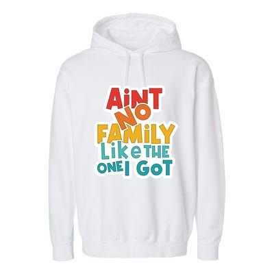 Funny Aint No Family Like The One I Got Garment-Dyed Fleece Hoodie