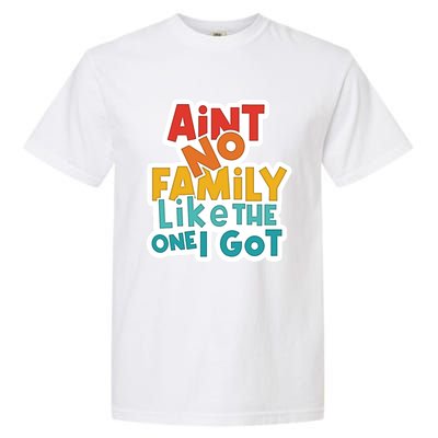 Funny Aint No Family Like The One I Got Garment-Dyed Heavyweight T-Shirt