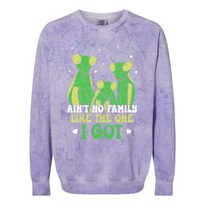 Funny Aint No Family Like The One I Got Colorblast Crewneck Sweatshirt