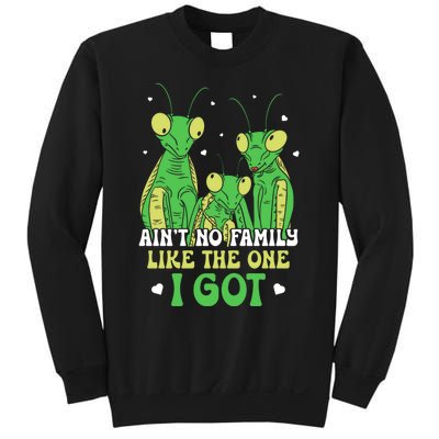 Funny Aint No Family Like The One I Got Sweatshirt