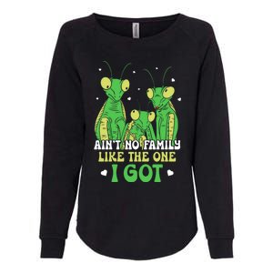 Funny Aint No Family Like The One I Got Womens California Wash Sweatshirt