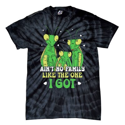 Funny Aint No Family Like The One I Got Tie-Dye T-Shirt