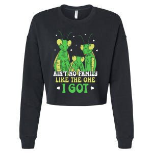 Funny Aint No Family Like The One I Got Cropped Pullover Crew