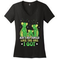 Funny Aint No Family Like The One I Got Women's V-Neck T-Shirt