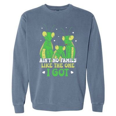 Funny Aint No Family Like The One I Got Garment-Dyed Sweatshirt