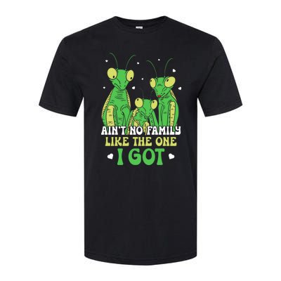 Funny Aint No Family Like The One I Got Softstyle CVC T-Shirt