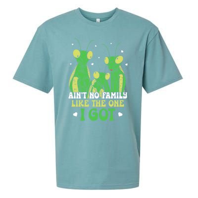 Funny Aint No Family Like The One I Got Sueded Cloud Jersey T-Shirt