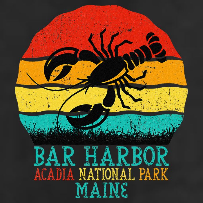 Funny Acadia National Park Bar Harbor Maine Vintage Lobster Hat