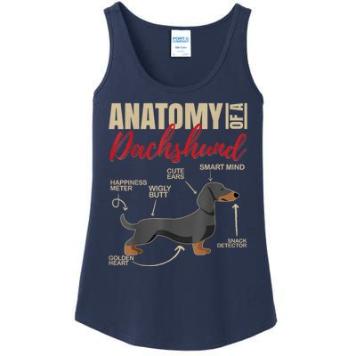 Funny Anatomy Of A Dachshund Dog Gift Ladies Essential Tank