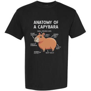 Funny Anatomy Of A Capybara Garment-Dyed Heavyweight T-Shirt