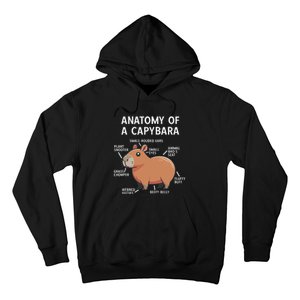 Funny Anatomy Of A Capybara Hoodie