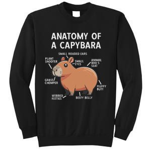 Funny Anatomy Of A Capybara Sweatshirt