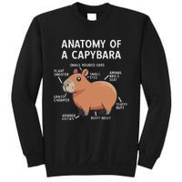 Funny Anatomy Of A Capybara Sweatshirt