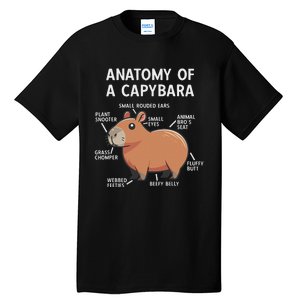 Funny Anatomy Of A Capybara Tall T-Shirt